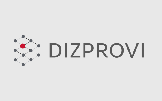DIZPROVI Logo